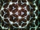 IMG_20180518_123929