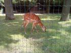 IMG_20180518_160423