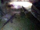 IMG_20180518_161902