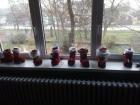 IMG_20191206_093942