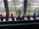 IMG_20191206_093952