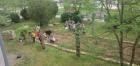 IMG-3547d3e608db564601c8a2df39ea490d-V