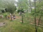 IMG-Bcffafd1929687401834fa4740dc0e28-V