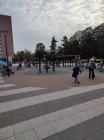 IMG-A85974a16c1f98cb1d6969fd29c02a3f-V
