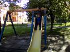 IMG_20170511_083919
