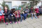 IMG_0183 Mini
