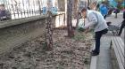 IMG_20160310_121521