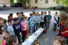 IMG_2569 Mini