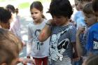 IMG_2576 Mini