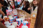 IMG_7799 Mini