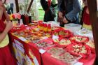 IMG_7821 Mini