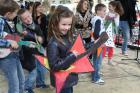 IMG_7952 Mini