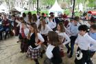 IMG_8248 Mini