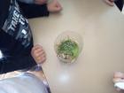 IMG_20190329_105301