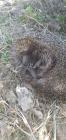 IMG-20200424-WA0016