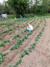 IMG-20200430-WA0099