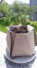 IMG-20200430-WA0039