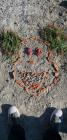 Zeleni Dani - Land Art - Jakov Mikec, 1.A