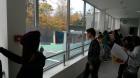 IMG_20181025_155749