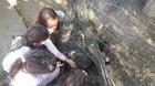 IMG-1e25a84c1f640c60840a3fbaa924edb5-V