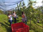 IMG-20201005-WA0019