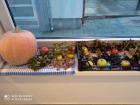 IMG_20200928_072837