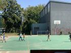 Image_50397953