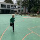 Image_50424833