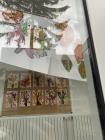 Image_67209473