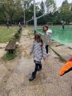 Image_67237889
