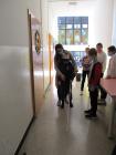 4a  (2)