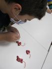 Licic 3ab (2)