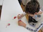 Licic 3ab (6)