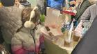 IMG-20231215-WA0011
