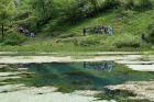33. Izvor