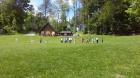 IMAG0307 (2)