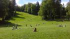 IMAG0309 (2)