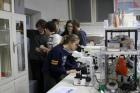 4. Laboratorij Jedinice Za Mutagenezu