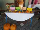 IMG-2e253cafc9325a26e9cb0a4133830770-V