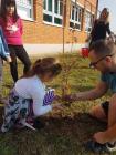 IMG-0d8fd93044963b22b49b9313e3b11834-V