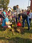 IMG-3d030b30409d1f1981fde1750420f391-V