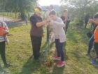 IMG-D968ed30254be5494a6ab127200a17b6-V
