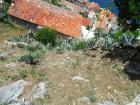 Agave Ispod Tvrave