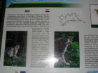 Po Kome Je Nacionalni Park Dobio Ime