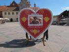 IMG_2519_s