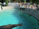IMG_2542_s