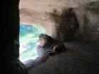 IMG_2544_s