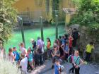 IMG_2546_s