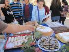 IMG_4378_s