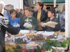 IMG_4390_s